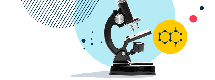 Dalian American International School | 大连美国国际学校 - Image-50-pattern