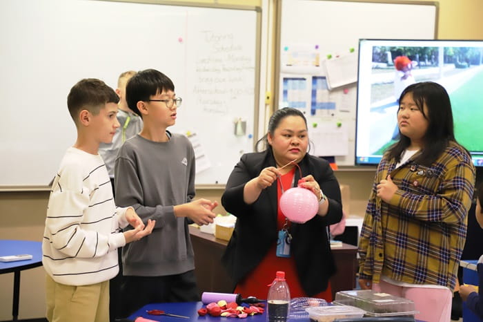 Sustainable development activity in Grade 7