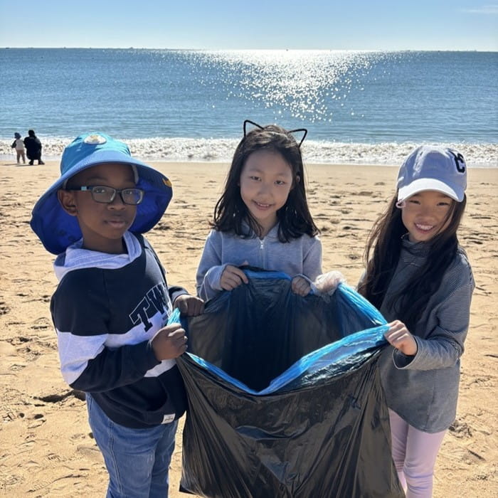 Beach clean-up