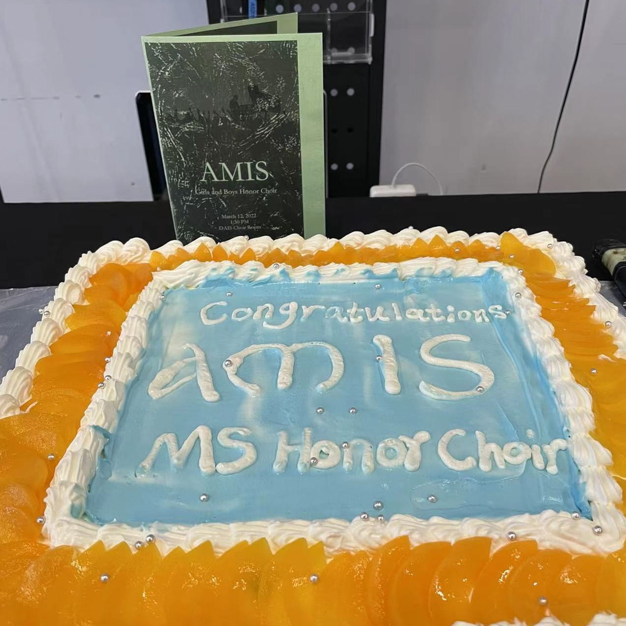 Growing Connections: DAIS Middle School Honor Choir Retreat - Choir Retreat